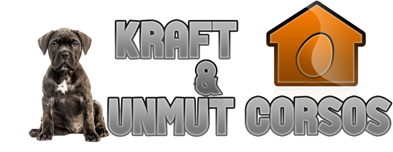 Kraft Und Anmut Corsos Haus